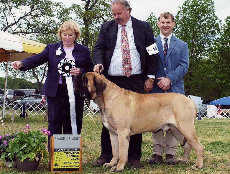 Baron, AOM Trenton KC 2010