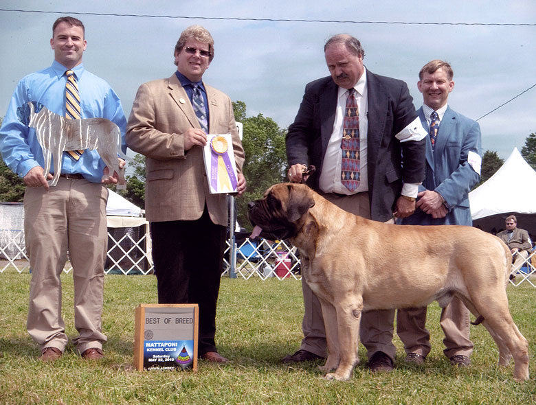 Baron, BOB Mattaponi KC 2010