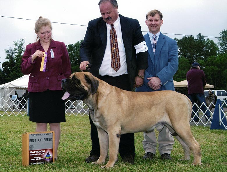 Baron, BOB Mattaponi KC 2010