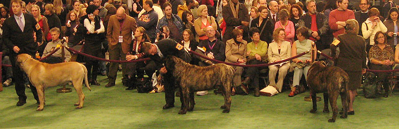 Bart and Bacchus at The Garden.