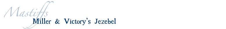 Jezebel